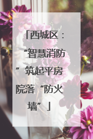 西城区：“智慧消防”筑起平房院落“防火墙”