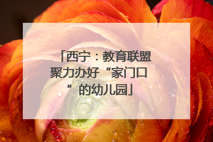 西宁：教育联盟聚力办好“家门口”的幼儿园