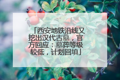 西安地铁沿线又挖出汉代古墓，官方回应：墓葬等级较低，计划回填