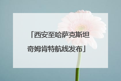 西安至哈萨克斯坦奇姆肯特航线发布