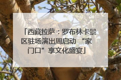西藏拉萨：罗布林卡景区驻场演出周启动 “家门口”享文化盛宴