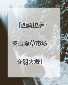 西藏拉萨：冬虫夏草市场交易火爆
