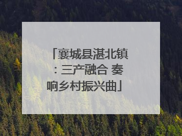 襄城县湛北镇：三产融合 奏响乡村振兴曲