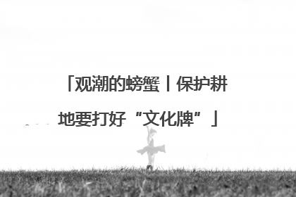 观潮的螃蟹丨保护耕地要打好“文化牌”