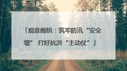 观音阁镇：筑牢防汛“安全堤” 打好抗洪“主动仗”