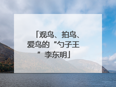 观鸟、拍鸟、爱鸟的“勺子王”李东明