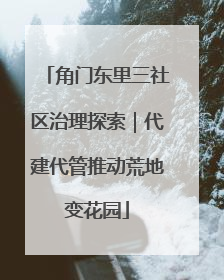 角门东里三社区治理探索｜代建代管推动荒地变花园