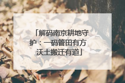 解码南京耕地守护：一码管田有方 沃土搬迁有道