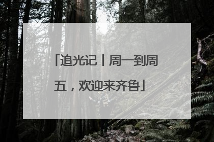 追光记丨周一到周五，欢迎来齐鲁