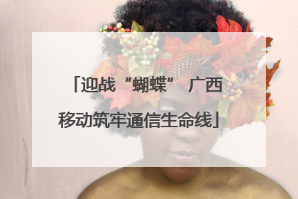 迎战“蝴蝶” 广西移动筑牢通信生命线