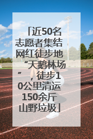 近50名志愿者集结网红徒步地“天鹅林场”，徒步10公里清运150余斤山野垃圾