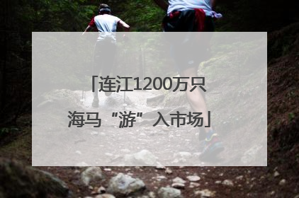 连江1200万只海马“游”入市场