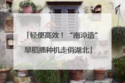 轻便高效！“南漳造”旱稻播种机走俏湖北
