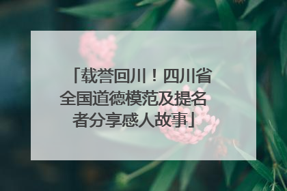 载誉回川！四川省全国道德模范及提名者分享感人故事
