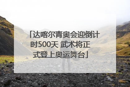 达喀尔青奥会迎倒计时500天 武术将正式登上奥运舞台