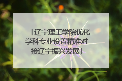 辽宁理工学院优化学科专业设置精准对接辽宁振兴发展