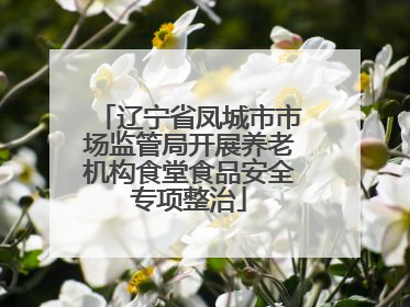 辽宁省凤城市市场监管局开展养老机构食堂食品安全专项整治