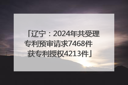 辽宁：2024年共受理专利预审请求7468件 获专利授权4213件