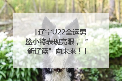 辽宁U22全运男篮小将表现亮眼，“新辽篮”向未来！