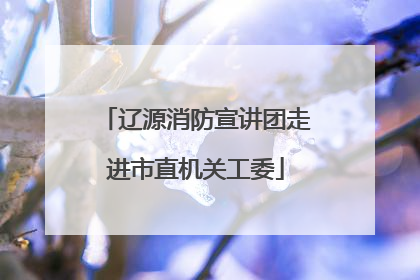 辽源消防宣讲团走进市直机关工委