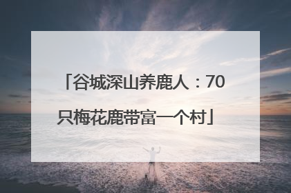 谷城深山养鹿人：70只梅花鹿带富一个村
