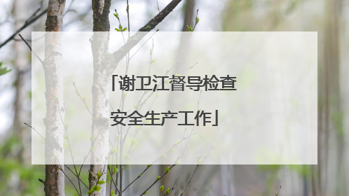 谢卫江督导检查安全生产工作