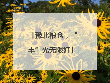 豫北粮仓，“丰”光无限好