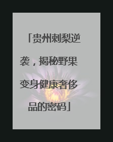 贵州刺梨逆袭，揭秘野果变身健康奢侈品的密码