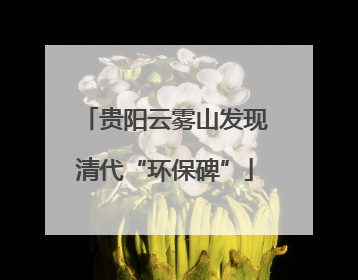 贵阳云雾山发现清代“环保碑”