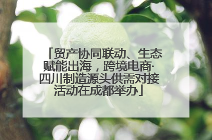 贸产协同联动、生态赋能出海，跨境电商·四川制造源头供需对接活动在成都举办