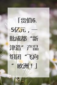 货值6.5亿元，一批成都“新津造”产品组团“飞向”欧洲！