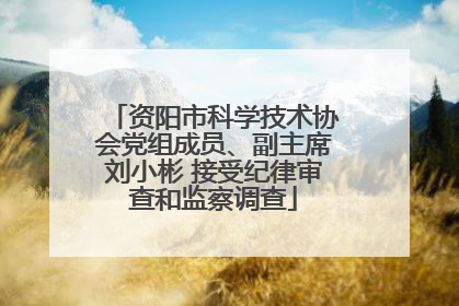 资阳市科学技术协会党组成员、副主席刘小彬 接受纪律审查和监察调查