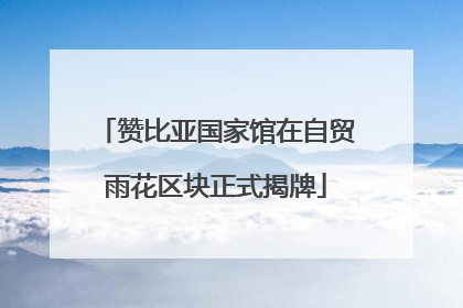 赞比亚国家馆在自贸雨花区块正式揭牌