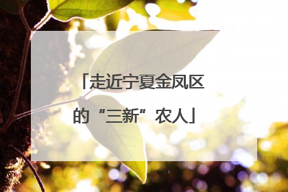 走近宁夏金凤区的“三新”农人