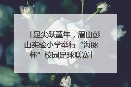 足尖跃童年，眉山彭山实验小学举行“海豚杯”校园足球联赛