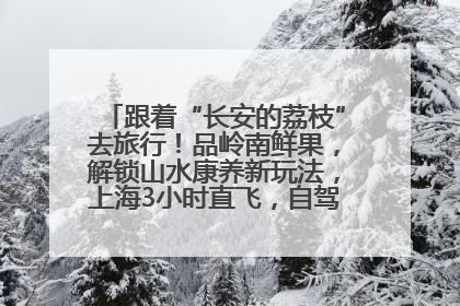 跟着“长安的荔枝”去旅行！品岭南鲜果，解锁山水康养新玩法，上海3小时直飞，自驾高速费优惠