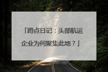 蹲点日记：头部航运企业为何聚集此地？