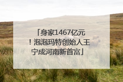 身家1467亿元！泡泡玛特创始人王宁成河南新首富