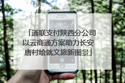 通联支付陕西分公司以云商通方案助力长安唐村绘就文旅新图景