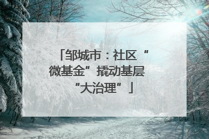 邹城市：社区“微基金”撬动基层“大治理”