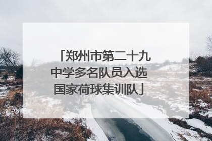 郑州市第二十九中学多名队员入选国家荷球集训队