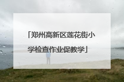 郑州高新区莲花街小学检查作业促教学