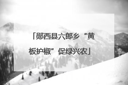 郧西县六郎乡“黄板护椒”促绿兴农