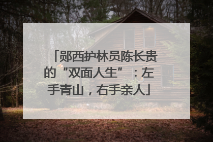 郧西护林员陈长贵的“双面人生”：左手青山，右手亲人