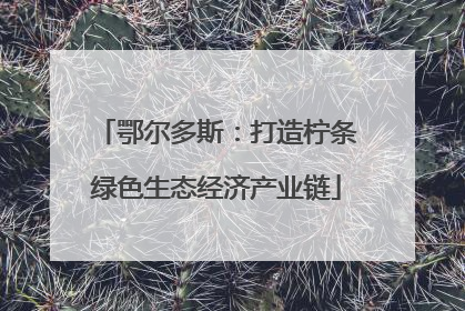 鄂尔多斯：打造柠条绿色生态经济产业链