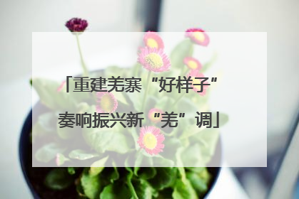 重建羌寨“好样子” 奏响振兴新“羌”调