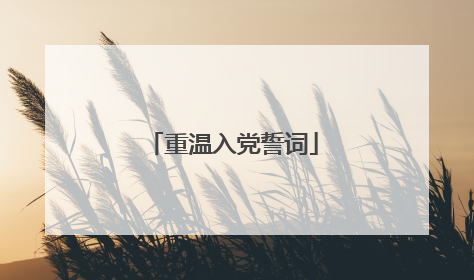 重温入党誓词