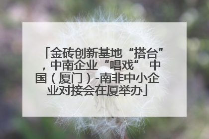 金砖创新基地“搭台”，中南企业“唱戏” 中国（厦门）-南非中小企业对接会在厦举办