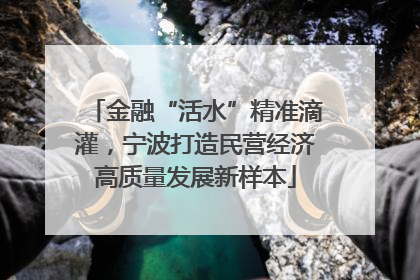 金融“活水”精准滴灌，宁波打造民营经济高质量发展新样本
