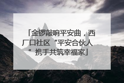 金锣敲响平安曲，西厂口社区“平安合伙人”携手共筑幸福家